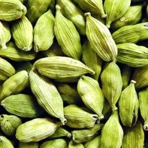 cardamom (elaichi)